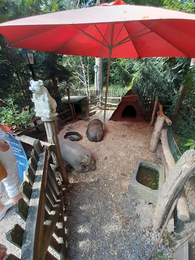 Die Schweine vom Heers bei Jogi's Waldkneipe